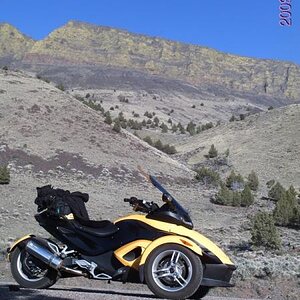600x800Gold MNT Mirror lake& Spyder