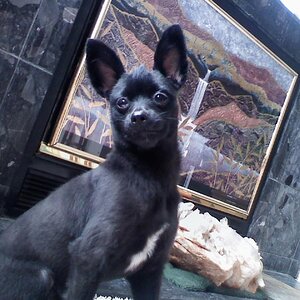 July 20 2009 Teddy strike'n a pose