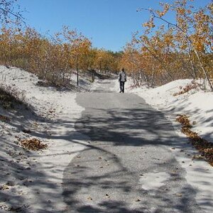 Sand Dunes in the Fall