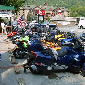 All kinds of spyders at the Smokies Bar and Grill in Gatlinburg