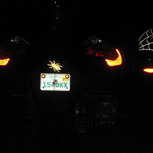 StreetGlo Reflective Striping From Rear on Spyder Fenders