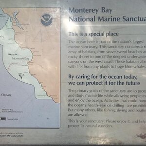 Monterey!