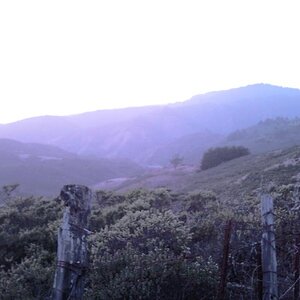 Back on the mountain