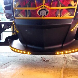 Head on shot of nose