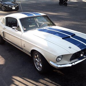 A fantastic Shelby GT500 Cobra