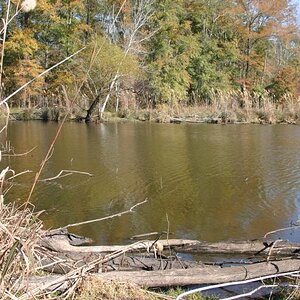 Savannah River inlet