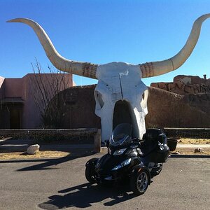 Longhorn Grill Amado, AZ