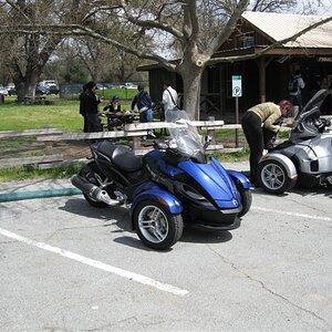 Spyders at Pinnacles 003 (2)