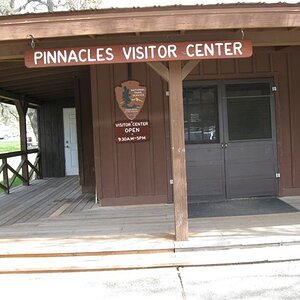 Spyders at Pinnacles 011 (2)