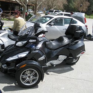 Spyders at Pinnacles 022 (2)