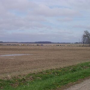 The thin line is parked bikes