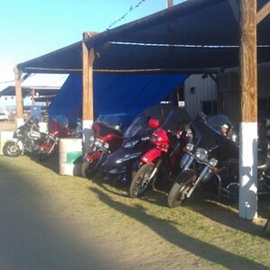 Spyder in the steel pile