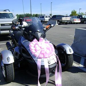 Love at first sight - Airport parking lot