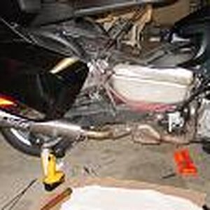 Muzzy hooked up to cat. bypass