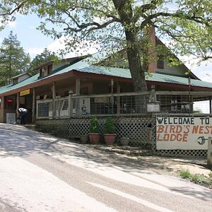 Bird's Nest Lodge