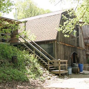 Peaceful Bend Vineyard