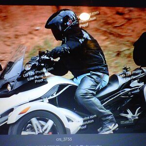 Riding the Dragons Tail