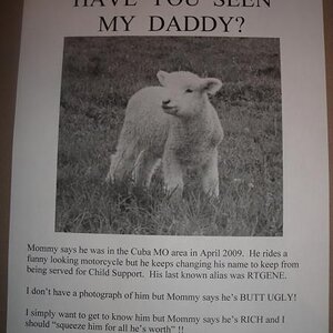 Little lost sheep...