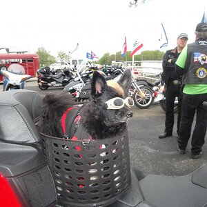 Spyderfest 2011 - Teddy is in the house