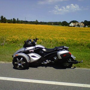 Spring North Florida