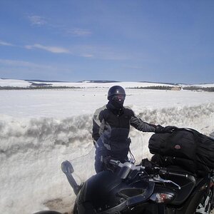 Wyoming - Top of Big Horn Mountains, Hwy 14