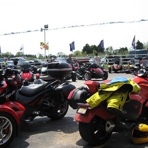 Lots of fabulous Spyders to look at.