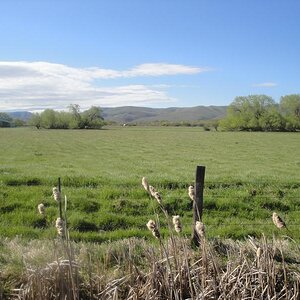 Eastern Washington - Out my back door...