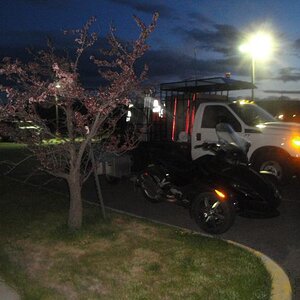 Eastern Washington - Someone watching over Spydee.