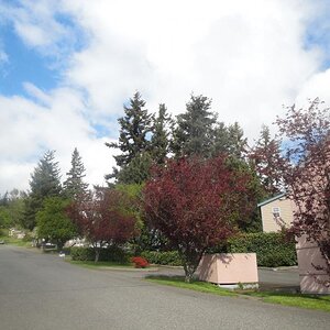 Bellingham, Washington - Out my back door...