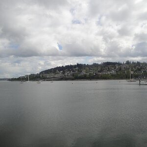 Bellingham, Washington harbor