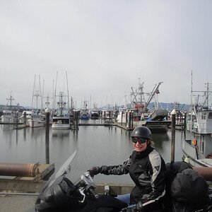 Bellingham, Washington - Fishing boats