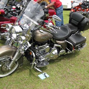 Competitor in Luxury Class