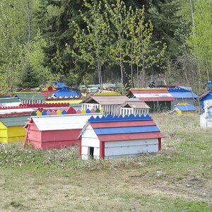 Alaska - Eklutna Historical Park.  Spirit Houses.