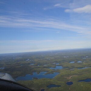 Alaska - Muskeg, bog with ajoining lakes.