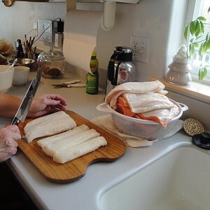 Palmer, Alaska - Halibut and salmon getting ready for the BBQ.