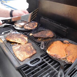 Palmer- Alaska - Blackened halibut and salmon.  Yummmm..