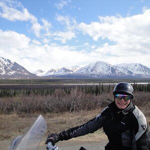 Palmer to Fairbanks, Alaska - Tundra
