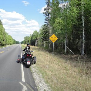 Fairbanks, Alaska - Crossing sign going to Chena Hot Springs.