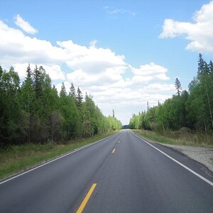 Fairbanks, Alaska - On the road 40 miles from Fairbanks
