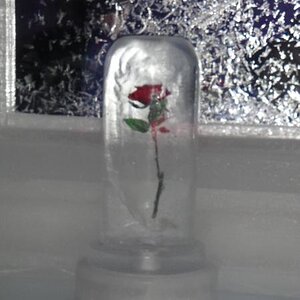 Chena Hot Springs, Alaska - Ice Museum, frozen rose.