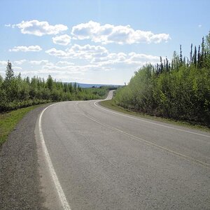 On the road from Fairbanks to Coldfoot, Alaska.