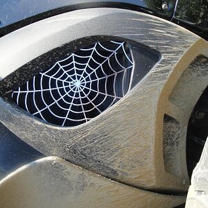 After the Dalton Highway - Nature's artwork.