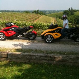Spyders in the vineyard