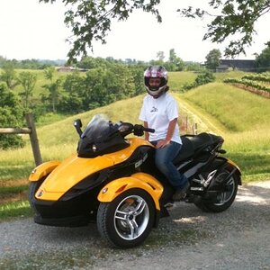 Spyders in the vineyard