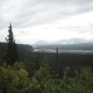 Kluane River, Yukon Terr. - Salmon run up this river.