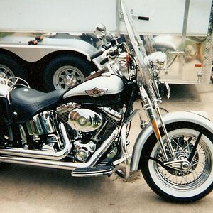 2003 100th anniversary Springer