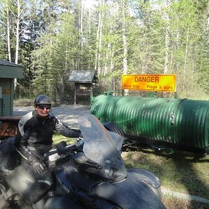 Jasper National Park, Alberta -  What happens to Bad Bears.