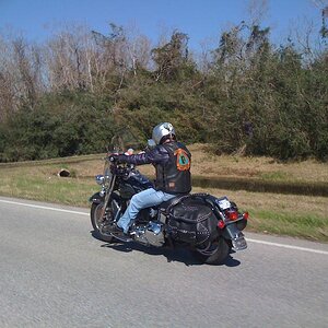 Terri on her soft tail Heritage