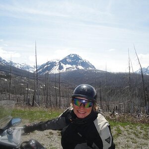 Calgary, Alberta to Helena, Montana - Glacier National Park.  Think there was a fire around here...