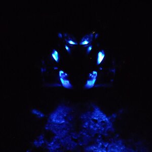 Working on yhe Blue LED's